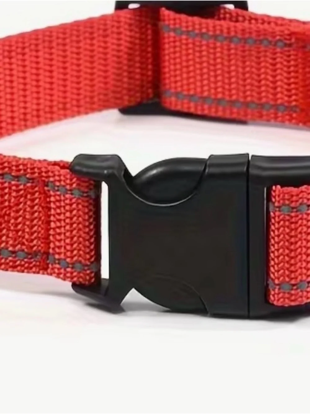 Source Unknown Red Dog Collar with Black Buckle